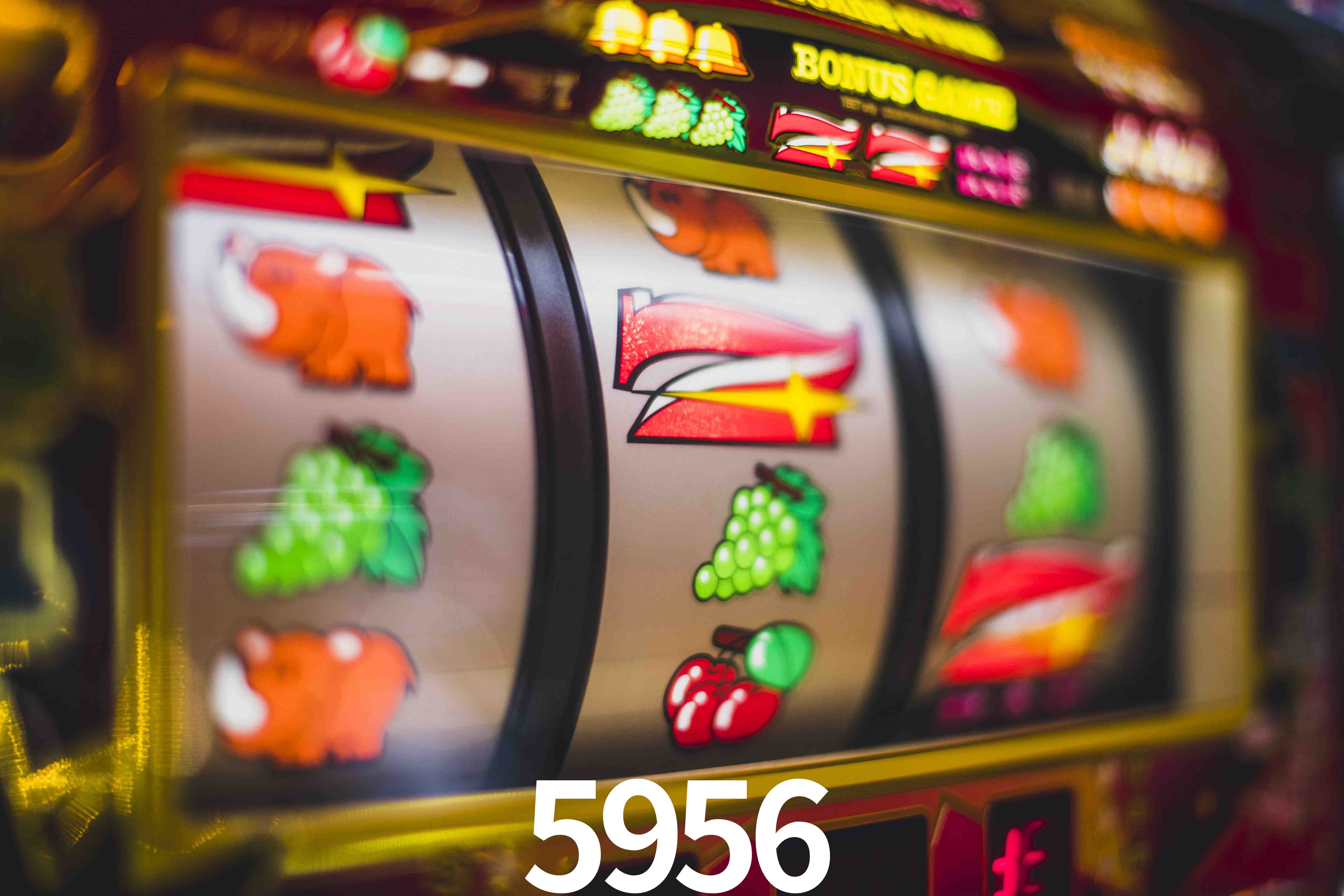 Statistics 5956